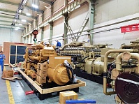 «BEEZONE BZ1200GF20T — энергетический мост»